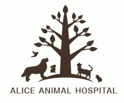 アリス動物病院のブログ