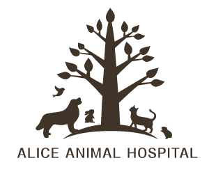 ALICE ANIMAL HOSPITAL