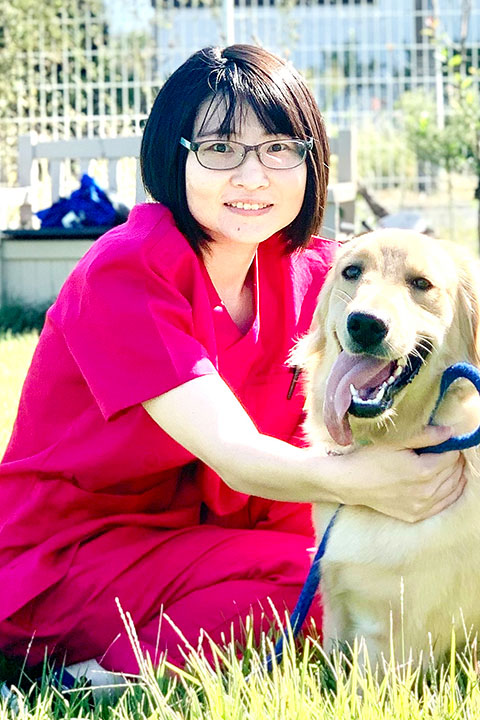 獣医師　伊藤